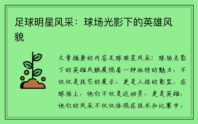 足球明星风采：球场光影下的英雄风貌