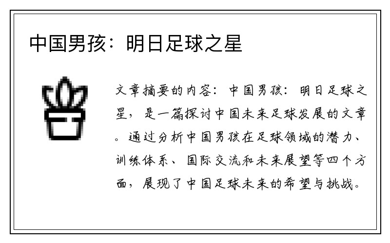 中国男孩：明日足球之星